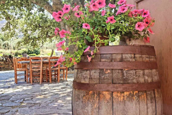 naxos local food-05