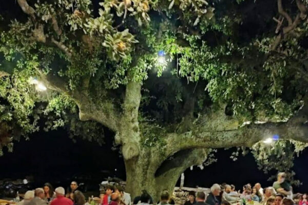 naxos local food-08
